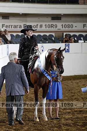 Proof Number 10r9_1080