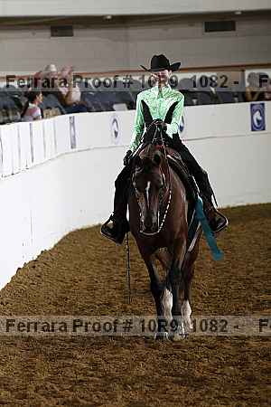Proof Number 10r9_1082