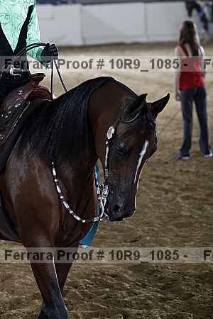 Proof Number 10r9_1085