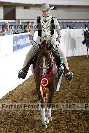 Proof Number 10r9_1087