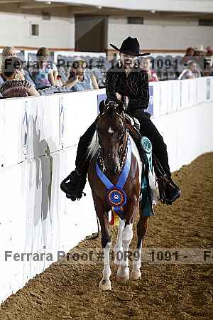 Proof Number 10r9_1091