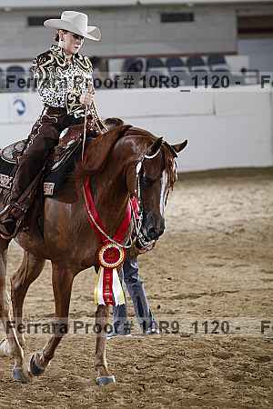 Proof Number 10r9_1120