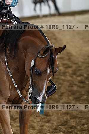 Proof Number 10r9_1127
