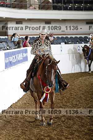 Proof Number 10r9_1136