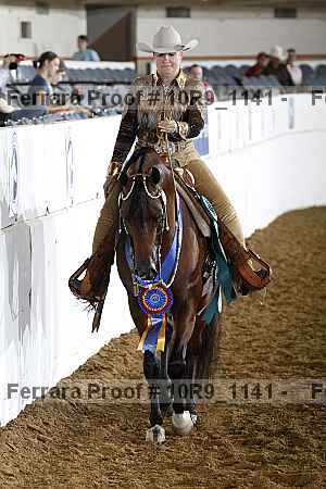 Proof Number 10r9_1141