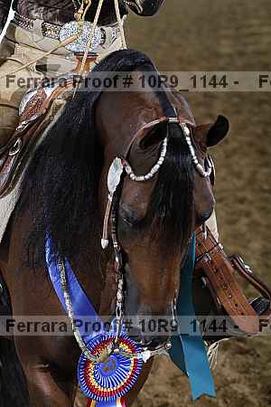 Proof Number 10r9_1144
