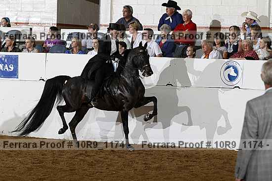 Proof Number 10r9_1174
