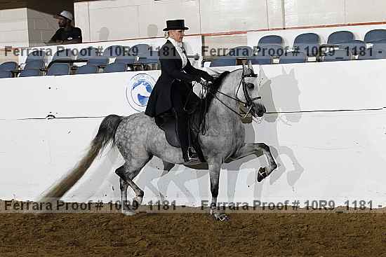 Proof Number 10r9_1181
