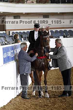 Proof Number 10r9_1185