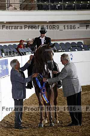 Proof Number 10r9_1186