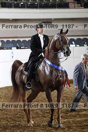 Proof Number 10r9_1187