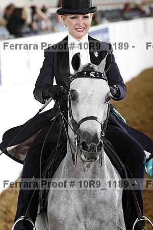 Proof Number 10r9_1189