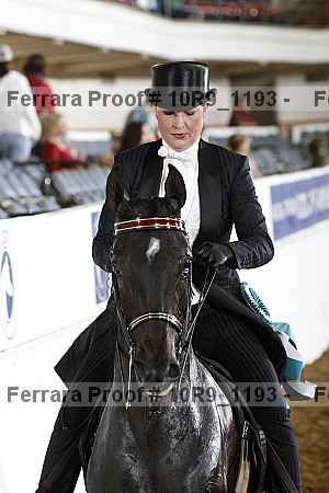 Proof Number 10r9_1193