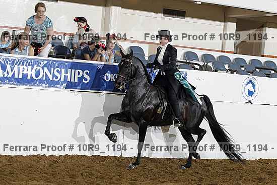 Proof Number 10r9_1194