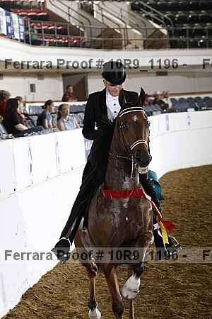 Proof Number 10r9_1196