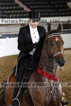 Proof Number 10r9_1197