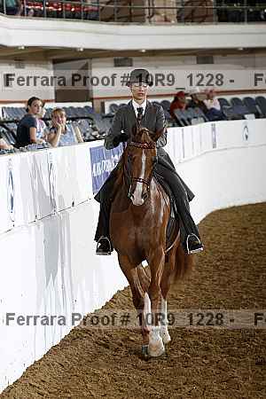 Proof Number 10r9_1228