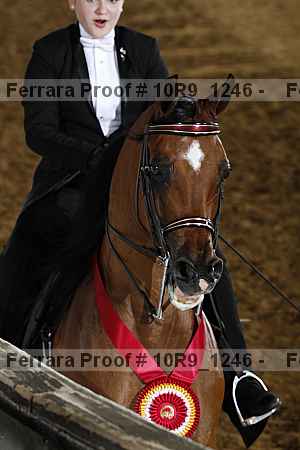 Proof Number 10r9_1246
