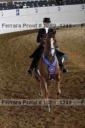 Proof Number 10r9_1249
