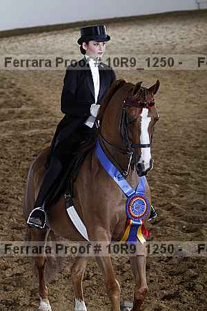 Proof Number 10r9_1250
