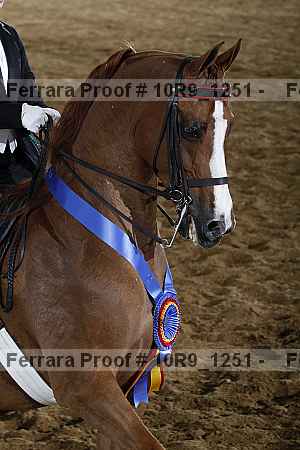 Proof Number 10r9_1251