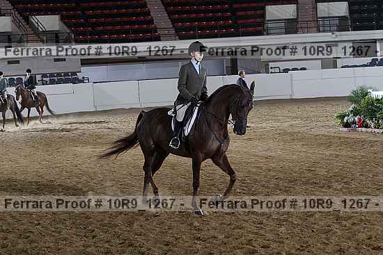 Proof Number 10r9_1267