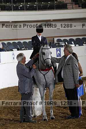 Proof Number 10r9_1288