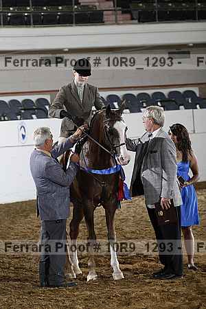 Proof Number 10r9_1293