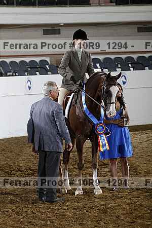 Proof Number 10r9_1294