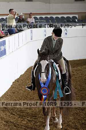 Proof Number 10r9_1295