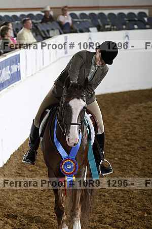 Proof Number 10r9_1296