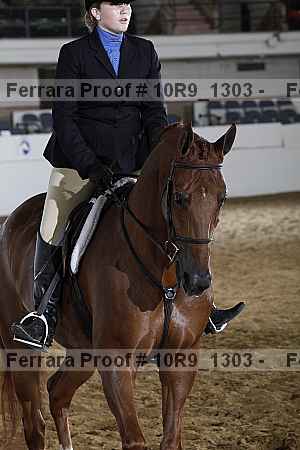 Proof Number 10r9_1303