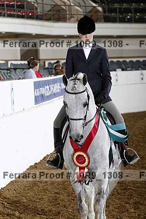 Proof Number 10r9_1308
