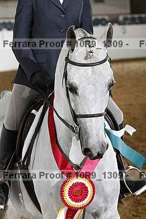 Proof Number 10r9_1309