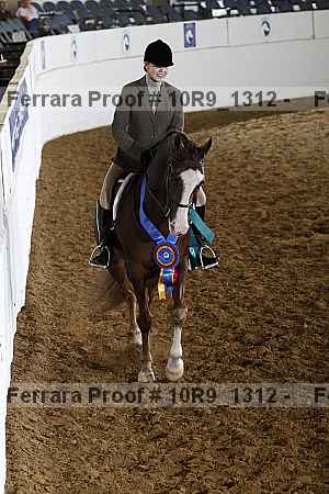 Proof Number 10r9_1312
