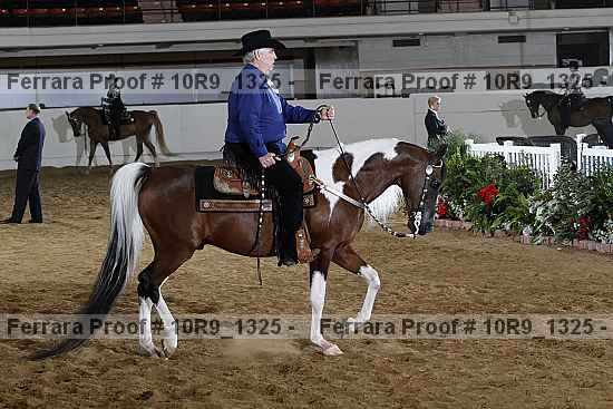 Proof Number 10r9_1325