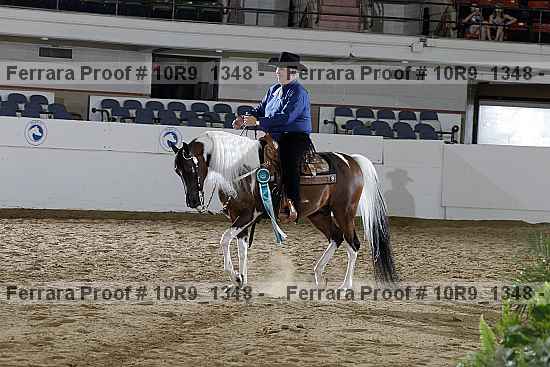 Proof Number 10r9_1348