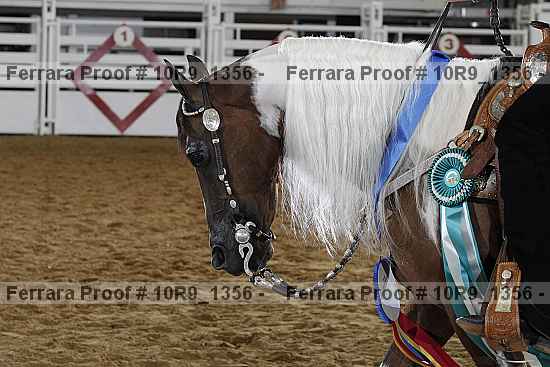 Proof Number 10r9_1356