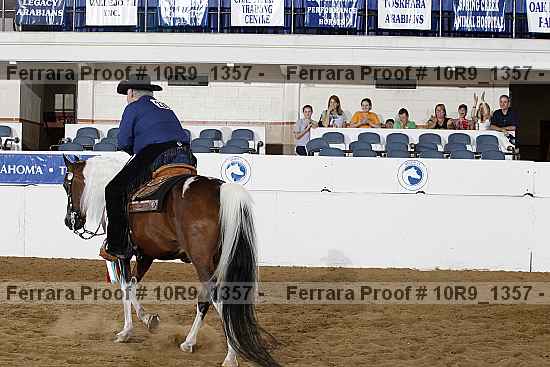 Proof Number 10r9_1357