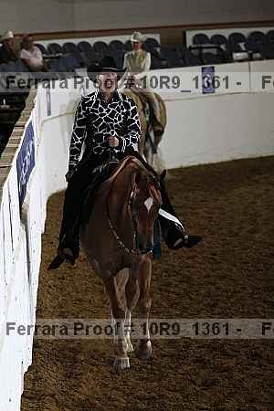 Proof Number 10r9_1361