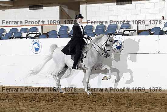 Proof Number 10r9_1378