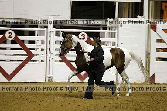 Proof Number 10r9_1393