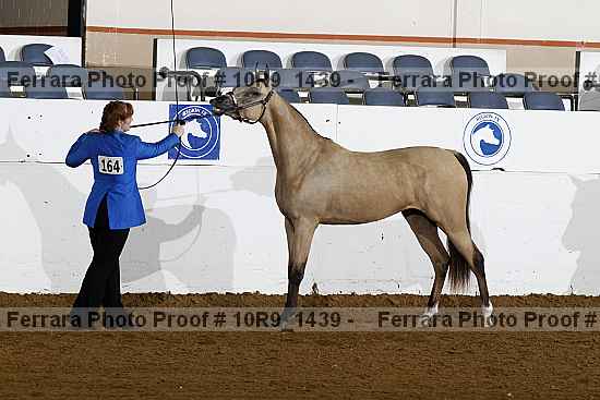 Proof Number 10r9_1439