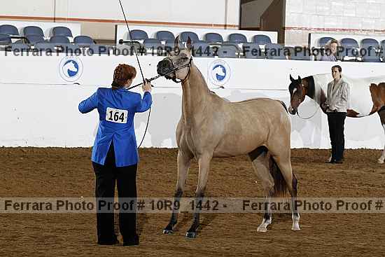 Proof Number 10r9_1442