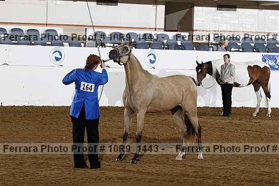 Proof Number 10r9_1443