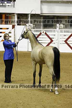 Proof Number 10r9_1444