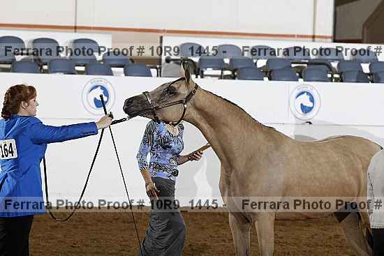 Proof Number 10r9_1445