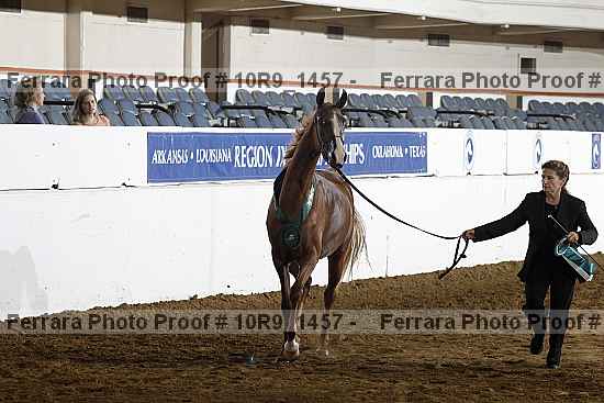 Proof Number 10r9_1457
