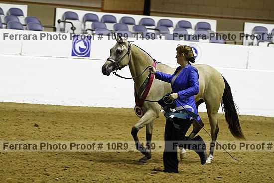 Proof Number 10r9_1459