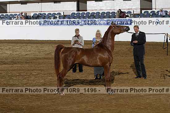 Proof Number 10r9_1496